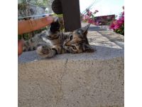 Yat Kaptanı Recep AKÇAY