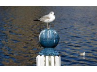 Uzakyol 1. Zabit Swell B.