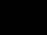 Captain Ahmet Özdöner